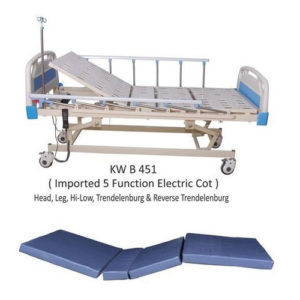 Five-Function-Electric-Care-Bed