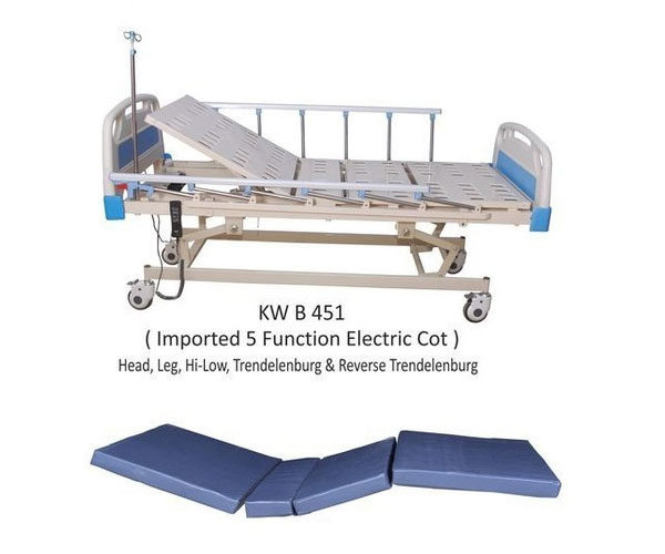 Five-Function-Electric-Care-Bed