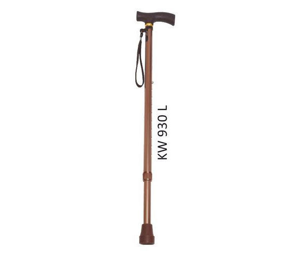 Walking Stick